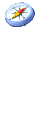 compassicon1